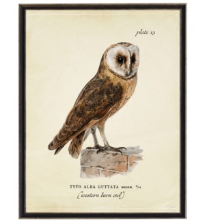 Vintage westrern barn owl bookplate