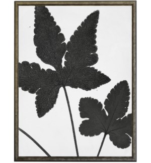 8X10 2400-05 Black Cropped Leaves