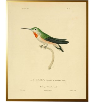 Hummingbird Plate 13