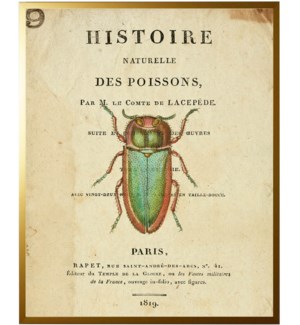 Beetle on titlepage
