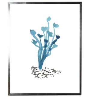 Light-blue coral