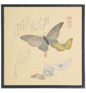 Asian butterfly D