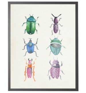 Watercolor beetles