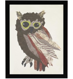 Cut out Owl on white background