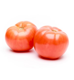 LARGE TOMATOES 5X6 (PACK OF 4 PIECES)