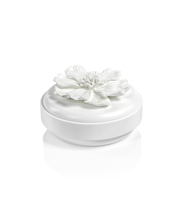 Blanchefleur All White Wood and Porcelain Box, Large