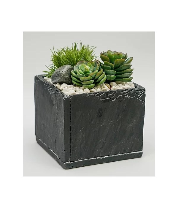 Slate Black 5" Succulent Pot