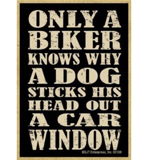 Only a biker knows why a dog sticks his head out a car window