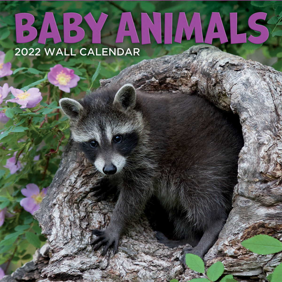 BABY ANIMALS - 2022 photo wall calendar | LANG Companies