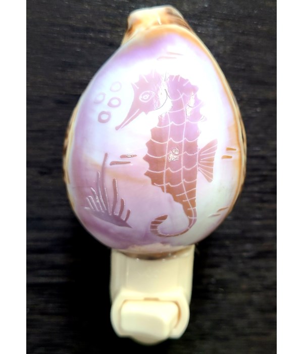 SEAHORSE CARVED COWRIE