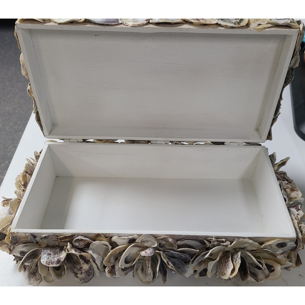 OYSTER SHELL BOXES