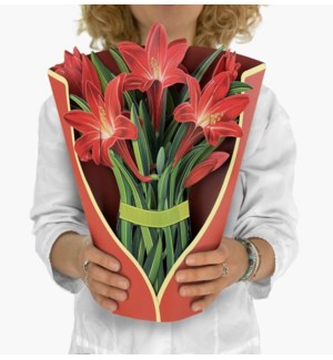 Red Amaryllis (8 Flowers with envelope @$5.25 plus 1 display sample)