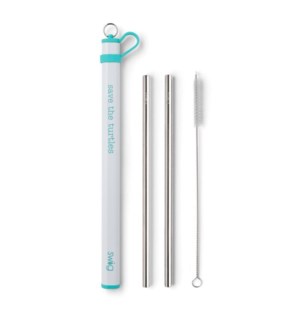 Aqua Double Stainless Steel Straw Set - save the turtles