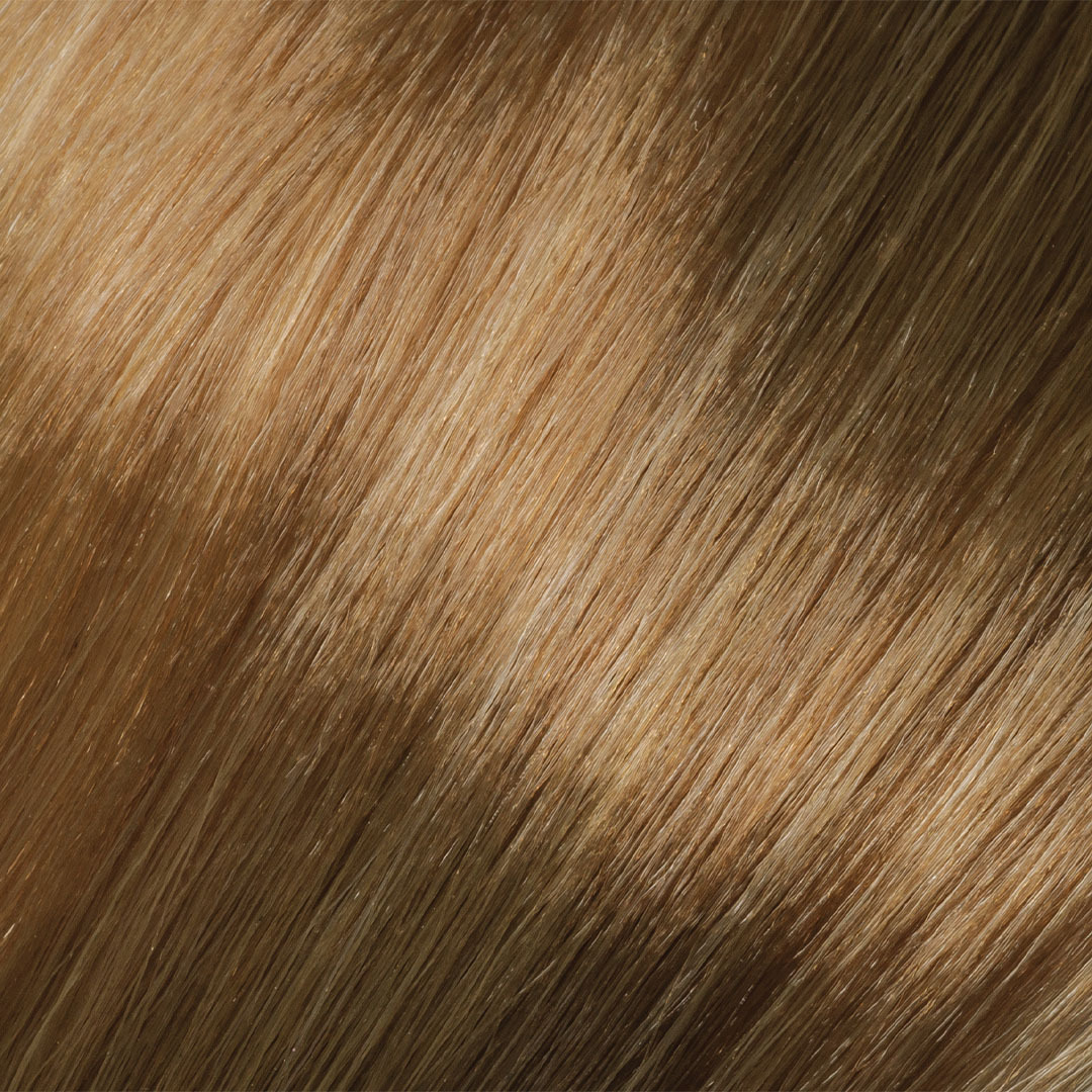 Lanza Color Lanza Canrad Beauty Limited