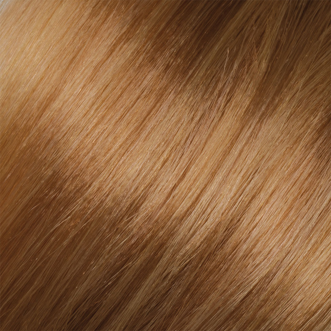 Lanza Color Lanza Canrad Beauty Limited